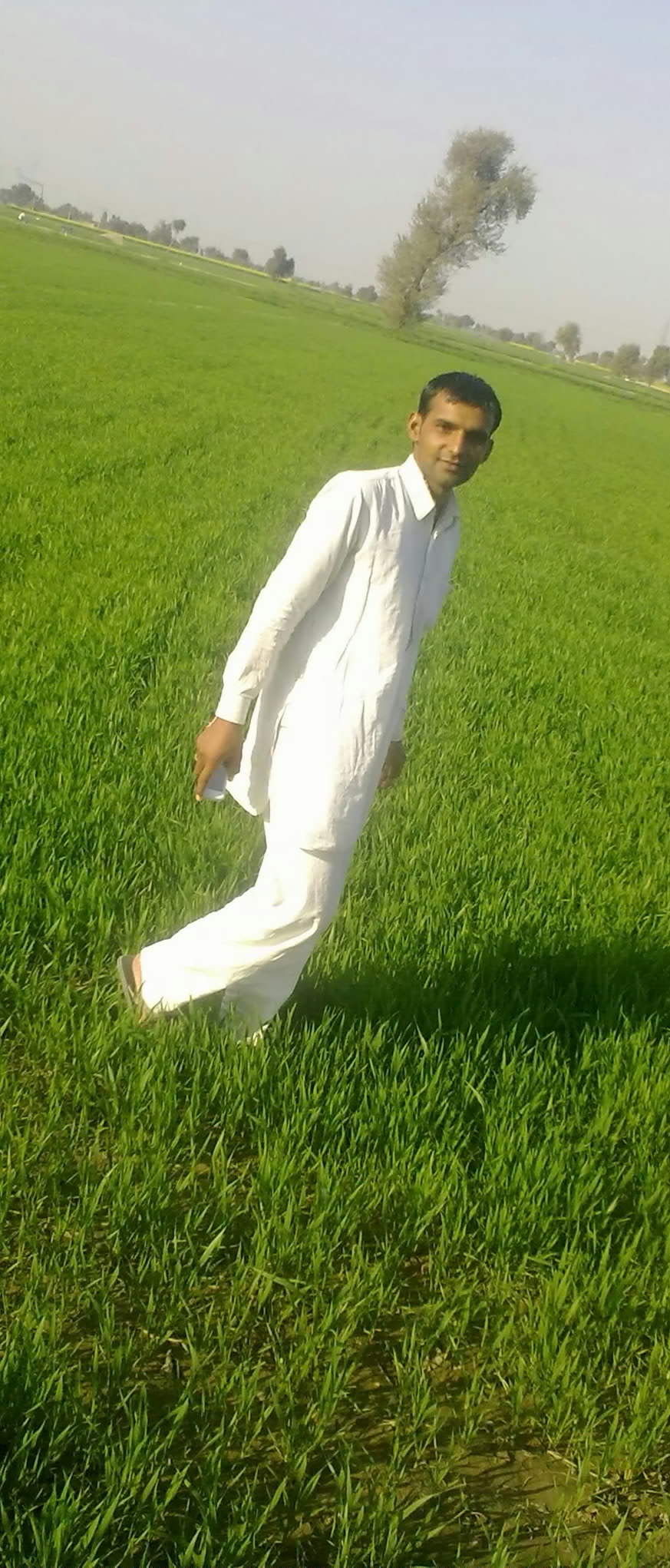 in my farm